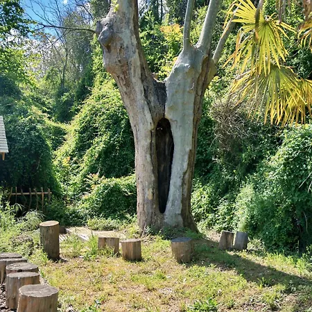 Bb Sainte Marie Couette-café 3*