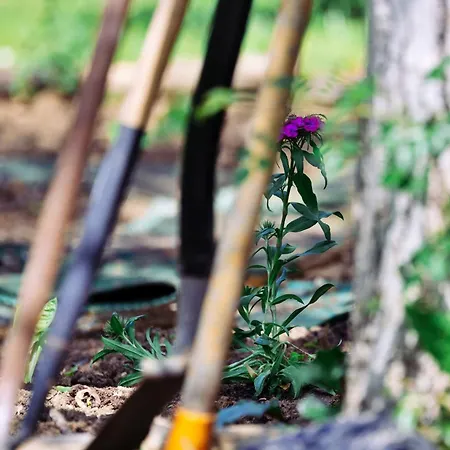 Bb Sainte Marie 3* Limoux