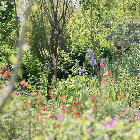 Bb Sainte Marie Limoux