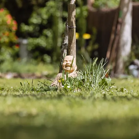 Bb Sainte Marie Couette-café Limoux